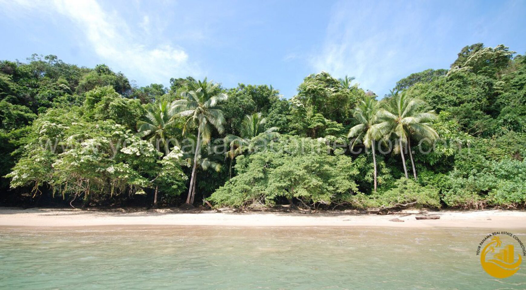 island properties for sale in panama
