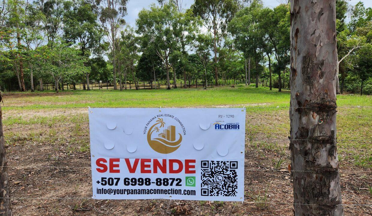 lot for sale in sea cliff panama